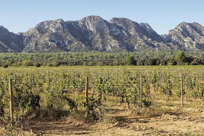 Arles - St Remy - Les Baux De Provence - 8h - Reviews and Feedback