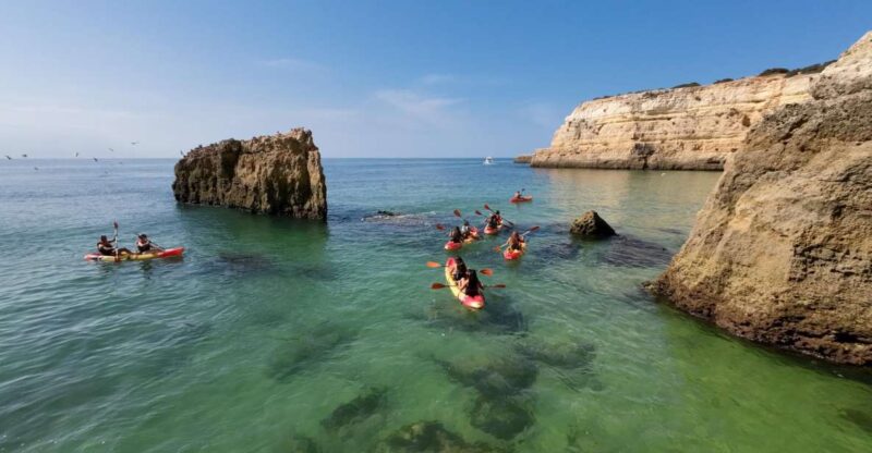 Arm of Pear: 2-Hour Wild Beaches and Caves Kayak Tour - Experience Highlights