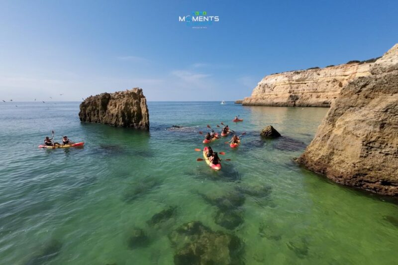 Arm of Pear: 2-Hour Wild Beaches and Caves Kayak Tour - Inclusions