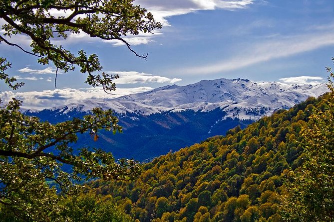 Armenia Between Nature and Religion / 10 Days - Culinary Delights of Armenian Cuisine