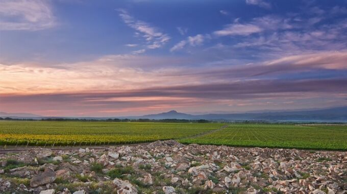 Armenia Wine Tour - Payment and Reservation Details