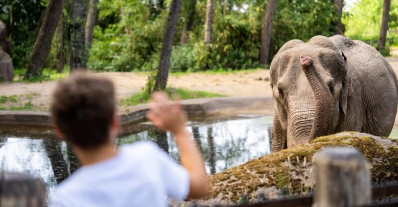 Arnhem: Burgers Zoo Entry Ticket - Key Points