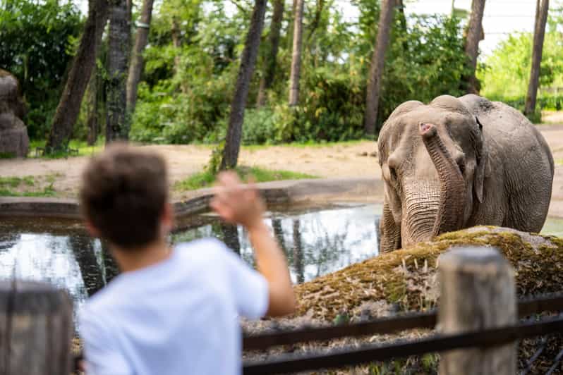 Arnhem: Burgers Zoo Entry Ticket - Reservation Details