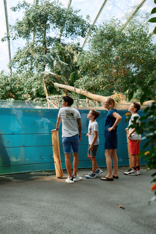Arnhem: Burgers Zoo Entry Ticket - Zoo Experience Highlights