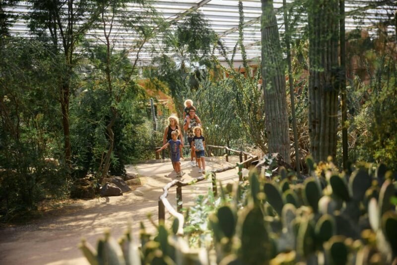 Arnhem: Burgers Zoo Entry Ticket - Visitor Information