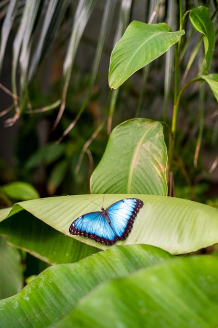 Arnhem: Burgers Zoo Entry Ticket - Savings and Discounts
