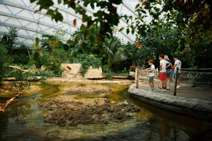 Arnhem: Burgers Zoo Entry Ticket - Accessibility and Convenience
