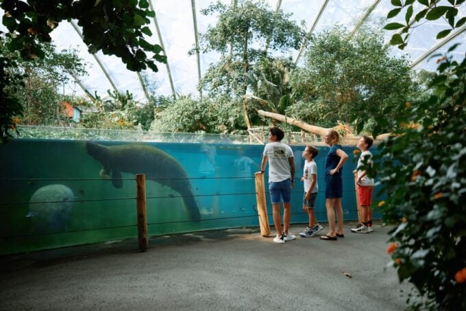 Arnhem: Burgers Zoo Entry Ticket - Frequently Asked Questions