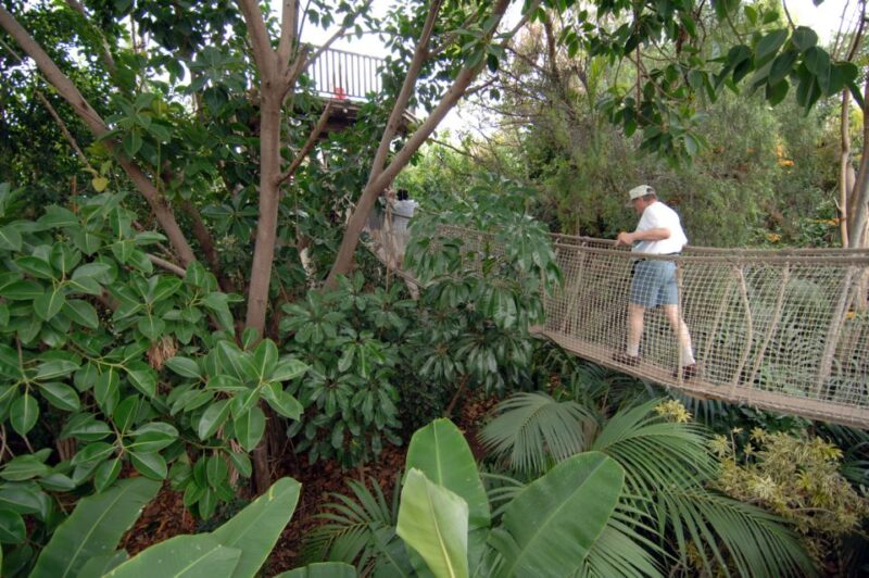 Arona: Entry Ticket to Tenerifes Jungle Park Zoo - Key Points