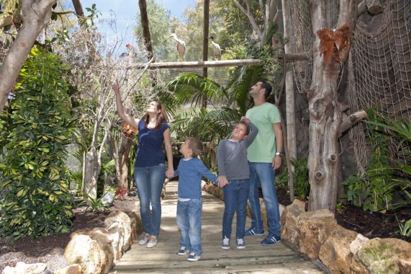 Arona: Entry Ticket to Tenerifes Jungle Park Zoo - Park Features and Highlights