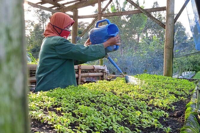 Around Bromo Farming Experience - Good To Know