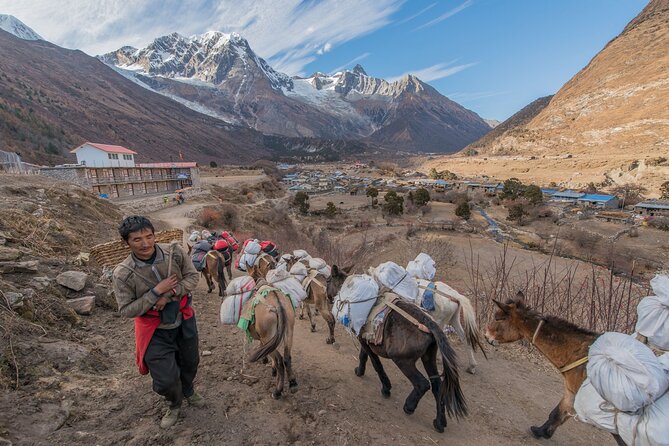 Around Manaslu Trek - Meals