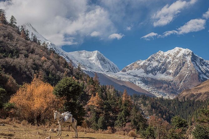 Around Manaslu Trek - Safety Considerations