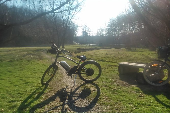 Around Prague Beautiful Parks on E-Bike - Tour Requirements and Accessibility