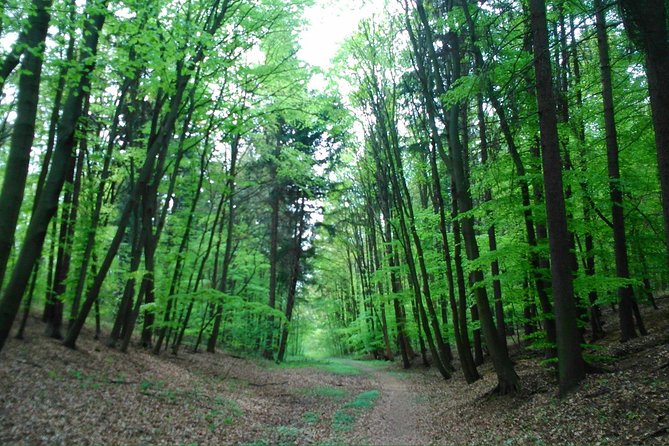 Around Prague Beautiful Parks on E-Bike - Bicycle Rental and Guide