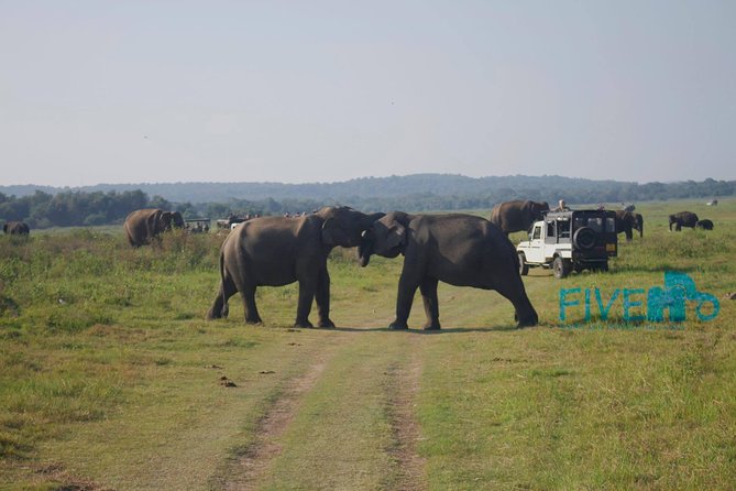 Around Sri Lanka Tour Packages , 8 Days With Driver ,Vehicle and Accommodation. - Included Amenities