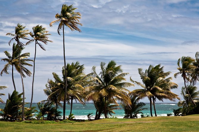 Around the Island - Taking in Tobagonian Culture