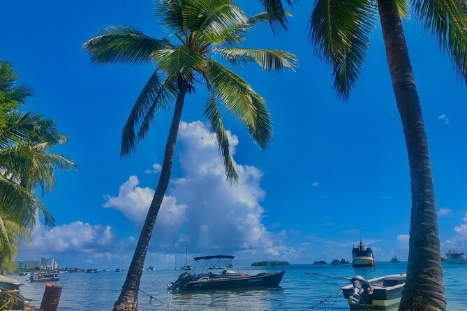 Around the Island in Chiva (Official Operator) San Andres Island - Meeting Point and Pickup