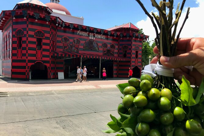 Around the Island Tour From San Juan - Inclusions and Exclusions