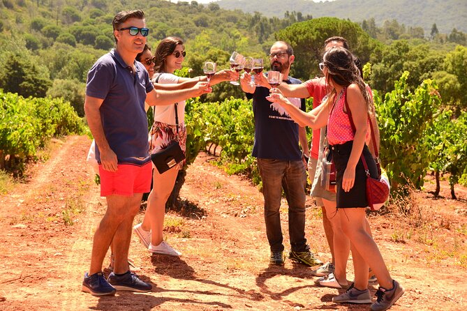 Arrabida and Sesimbra Small-Group Day Trip From Lisbon With Wine Tasting - Tasting Wines at Casa Museu