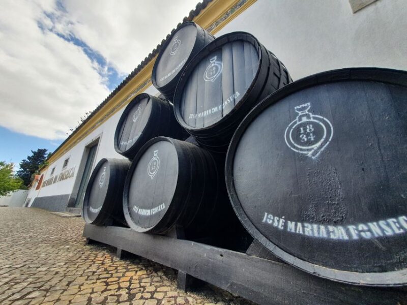 Arrábida, Azeitão, Setúbal, & Palmela Full Day Tour - Itinerary Highlights