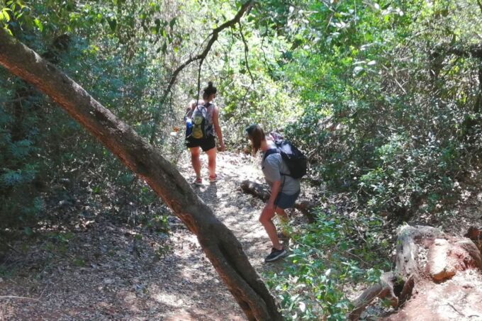 Arrábida: Beach, Nature & History - Preparing for the Adventure