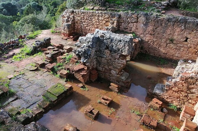 Arrábida: Beach, Nature & History - Comprehensive Tour Details and Policies