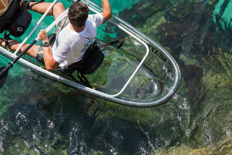 Arrábida: Guided Transparent Kayaking Tour - Key Points
