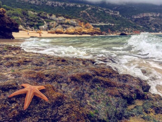 Arrábida Jeep Tour to the Most Beautiful Beach of Europe - Frequently Asked Questions