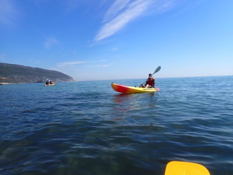 Arrábida Kayak Tour - Tour Highlights