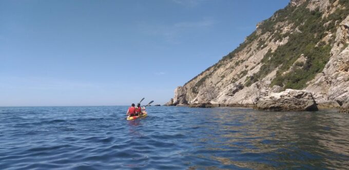 Arrábida Kayak Tour - Transportation and Accessibility