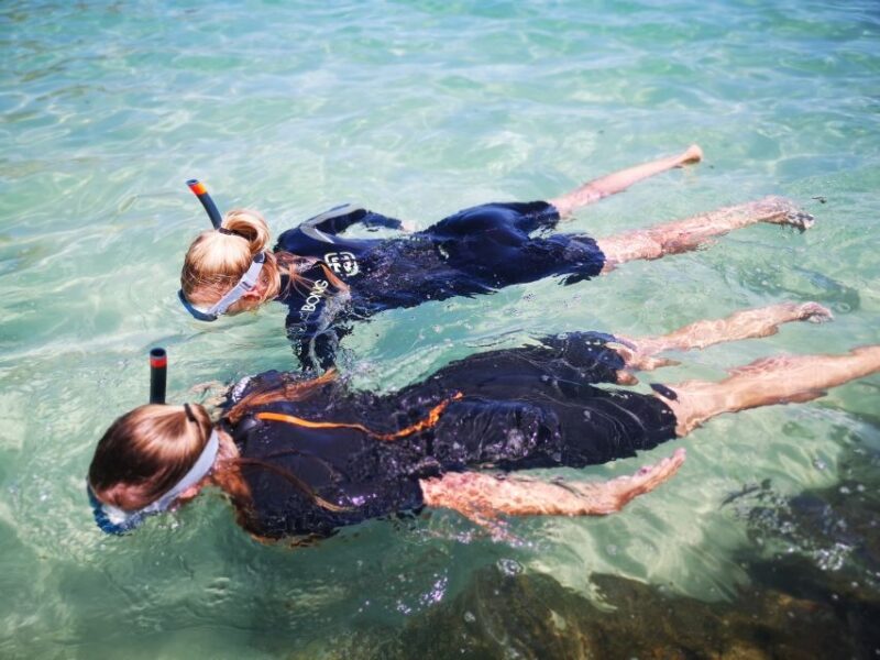 Arrábida: Kayaking and Snorkeling Experience - Highlights of the Experience