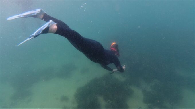 Arrábida: Kayaking and Snorkeling Experience - Meeting Point and Transportation