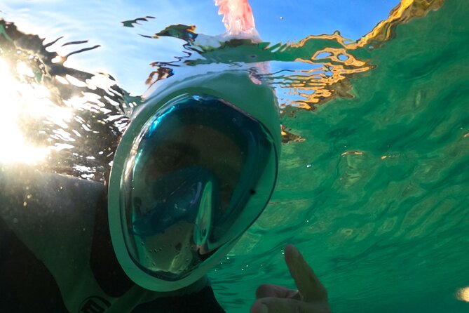 Arrábida Kayaking & Wild Beach Snorkeling/ Pick-Up Available - Immersive Aquatic Adventure