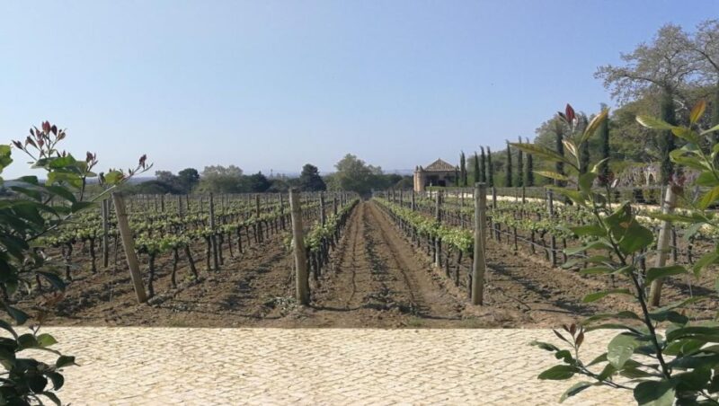Arrábida Natural Park, Palmela Castle, Tiles and Wine Tour - Key Points