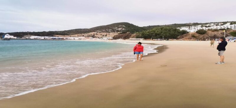 Arrábida Natural Park, Palmela Castle, Tiles and Wine Tour - Itinerary Highlights