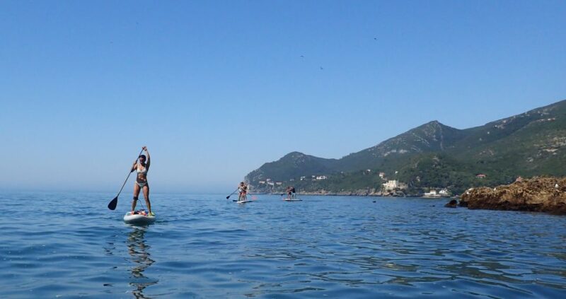 Arrábida Natural Park: Stand Up Paddleboard Tour and Lesson - Experience Highlights