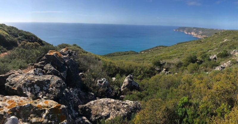 Arrábida, Olive and Wine Tasting Jeep Tour - Key Points
