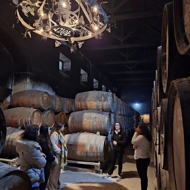 Arrábida, Olive and Wine Tasting Jeep Tour - Convent and Lapa