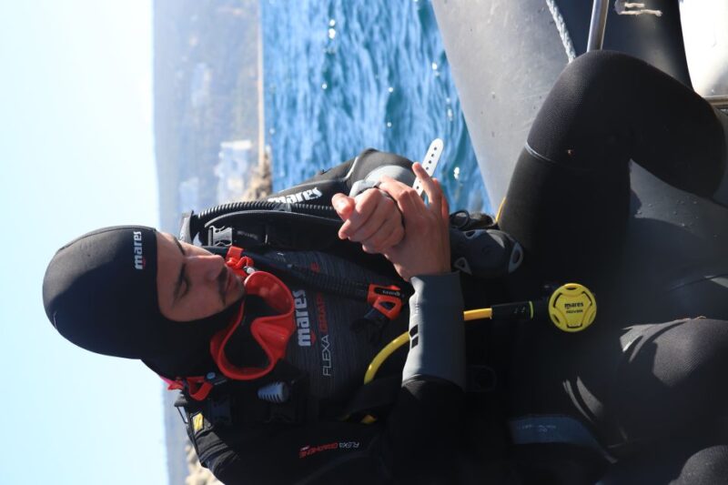 Arrábida: Open Water Diver Course in Arrábida Marine Reserve - Experience Highlights