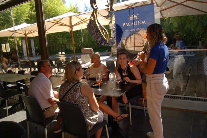 Arrábida: Private Wine Tour With Wine & Cheese Tasting - Livramento Market