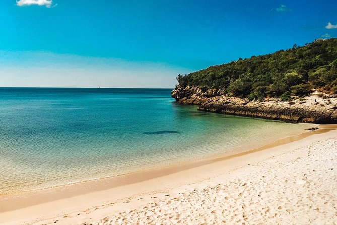 Arrábida, Setúbal and the Blue Coast - Private Van Tour - Taking in Local Culture and Cuisine