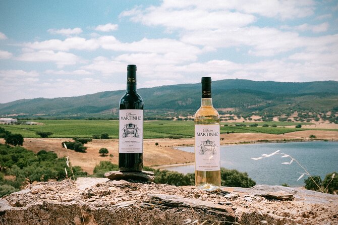 Arrábida, Setúbal and the Blue Coast - Private Van Tour - Customized Itinerary and Personalized Experience