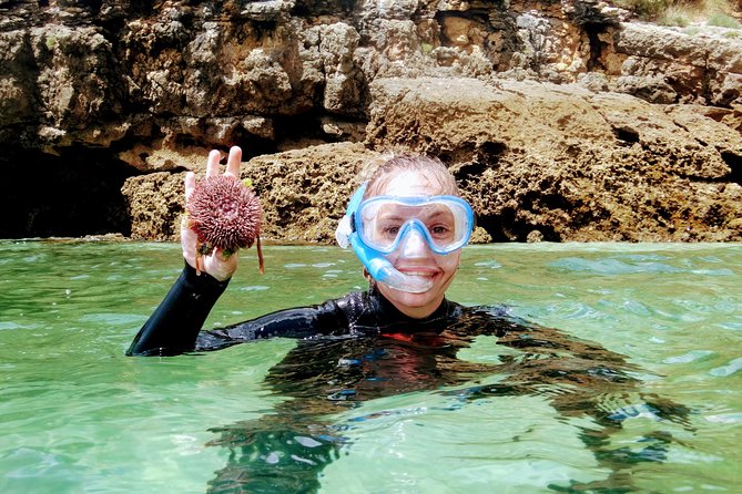 Arrábida Snorkeling Adventure With Transfer From Lisbon - Transportation and Meeting Information