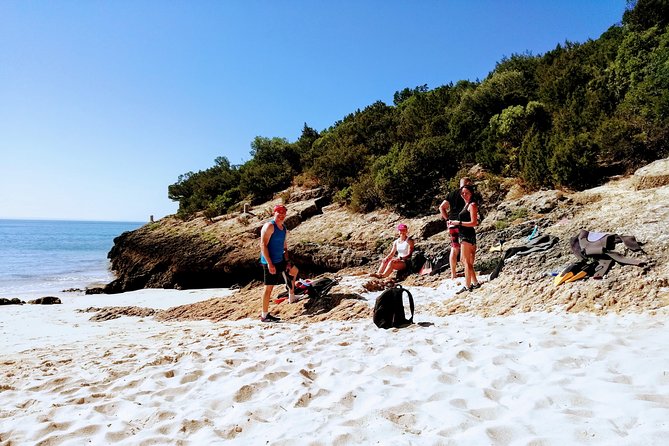 Arrábida Snorkeling Adventure With Transfer From Lisbon - Suitability and Physical Requirements