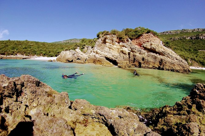 Arrábida Snorkeling Adventure With Transfer From Lisbon - Traveler Reviews and Experiences