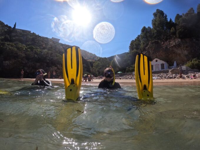 Arrábida: Snorkeling Experience in Arrábida Marine Reserve - Booking and Cancellation