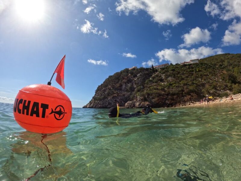 Arrábida: Snorkeling Experience in Arrábida Marine Reserve - Highlights of the Experience