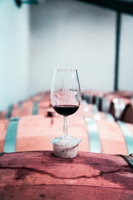 Arrábida & Wine Tour - Important Information