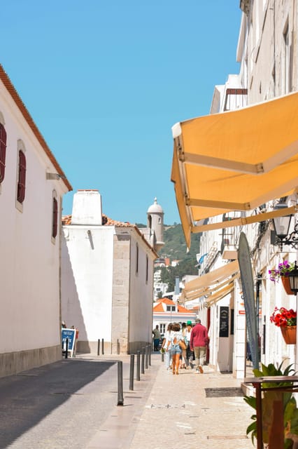 Arrábida & Wine Tour - Tour Description